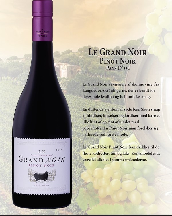 710110 Le Grand Noir Pinot Noiret