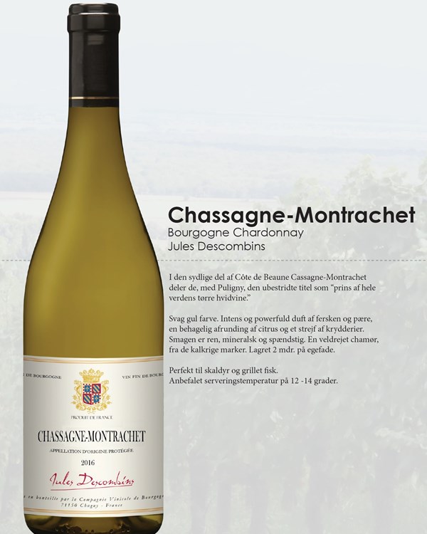 224 Chassagne Montrachet